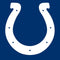 NFL Indianapolis Colts Large Logo Amazon Echo Buds Skin