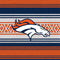 NFL Denver Broncos Trailblazer Amazon Echo Buds Skin