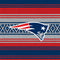 NFL New England Patriots Trailblazer iPhone 13 Pro Folio Case