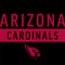 NFL Arizona Cardinals Black Performance Series Amazon Echo Buds Skin