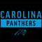 NFL Carolina Panthers Black Performance Series Amazon Echo Buds Skin