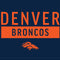 NFL Denver Broncos Blue Performance Series Amazon Echo Buds Skin