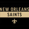 NFL New Orleans Saints Black Performance Series Amazon Echo Buds Skin