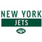 NFL New York Jets White Performance Series Amazon Echo Buds Skin