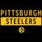 NFL Pittsburgh Steelers Black Performance Series Amazon Echo Buds Skin