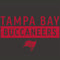 NFL Tampa Bay Buccaneers Brown Performance Series AirPods Pro 2nd Gen Skin