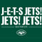 NFL New York Jets Team Motto Amazon Echo Buds Skin