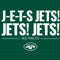 NFL New York Jets Team Motto iPhone 13 Folio Case