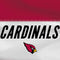 NFL Arizona Cardinals White Striped Amazon Echo Buds Skin