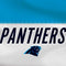 NFL Carolina Panthers White Striped Xbox Elite Wireless Controller Series 2 Skin