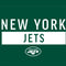 NFL New York Jets Green Performance Series G203 Prodigy RGB Wired Gaming Mouse Skin
