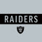 NFL Las Vegas Raiders Silver Performance Series Xbox 360 (Includes HDD) Skin