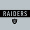 NFL Las Vegas Raiders Silver Performance Series iPhone 13 Folio Case