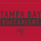 NFL Tampa Bay Buccaneers Red Performance Series iPhone 14 Folio Case