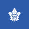 NHL Toronto Maple Leafs Color Pop Amazon Echo Buds Skin