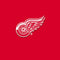 NHL Detroit Red Wings Solid Background Amazon Echo Buds Skin