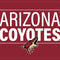 NHL Arizona Coyotes Lineup iPhone 13 Pro Max Folio Case