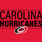 NHL Carolina Hurricanes Lineup iPhone 14 Pro Folio Case