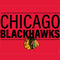 NHL Chicago Blackhawks Lineup iPhone 8 Folio Case