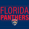 NHL Florida Panthers Lineup iPhone 14 Folio Case