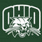 Ohio University Ohio University Outline Galaxy Buds Live Skin