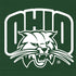 Ohio University Ohio University Outline iPhone 15 Skin