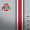 Ohio State University Buckeyes Apple Pencil (1st Gen, 2017) Skin