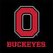 Ohio State University OSU XBox Series X Digital Edition Console Skin