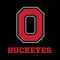 Ohio State University OSU Google Pixel 9 Pro Skin