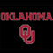 University of Oklahoma Only One Sooners Apple Pencil (1st Gen, 2017) Skin