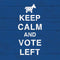Keep Calm And Vote Left Yoga 710 14in Skin