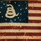 Dont Tread On Me American Flag AirPods Pro 2nd Gen Skin