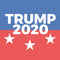 Trump 2020 iPhone 7 Folio Case