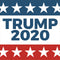 Trump 2020 Red White and Blue iPhone 14 Plus Folio Case