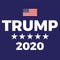 Trump 2020 Blue Galaxy Buds Plus Skin