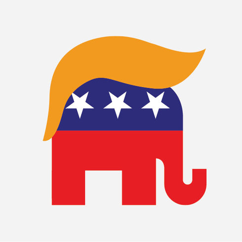Republican Trump Hair iPhone 13 Pro Max Folio Case