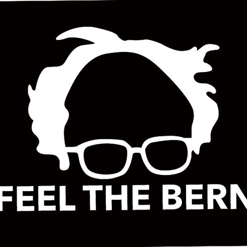 Feel The Bern Outline iPhone 15 Skin