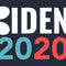Biden 2020 G203 Prodigy RGB Wired Gaming Mouse Skin