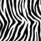 Zebra Print iPhone 13 Pro Folio Case