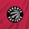 NBA Toronto Raptors Logo Amazon Echo Buds Skin