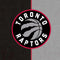 NBA Toronto Raptors Split Canvas Satellite L50-B / S50-B Skin