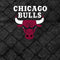 NBA Chicago Bulls Dark Rust Amazon Echo Buds Skin