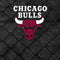 NBA Chicago Bulls Dark Rust Beats Solo Pro Skin