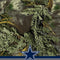 NFL Realtree Camo Dallas Cowboys MacBook Skins