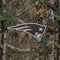 NFL New England Patriots Realtree Xtra Green Camo Amazon Echo Buds Skin