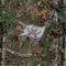 NFL Tampa Bay Buccaneers Realtree Xtra Green Camo Wii (Includes 1 Controller) Skin
