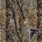 NFL Atlanta Falcons Realtree AP Camo Beats Solo Pro Skin