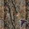 NFL Atlanta Falcons Realtree AP Camo Amazon Echo Buds Skin