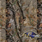 NFL Baltimore Ravens Realtree AP Camo Surface Pro 7 Skin