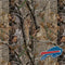 NFL Buffalo Bills Realtree AP Camo Surface Pro 7 Skin